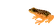 Shareware-Autorenvereinigung